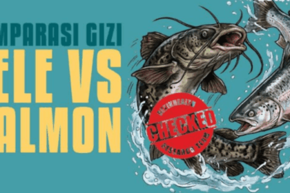 Kandungan Gizi Lele vs Salmon