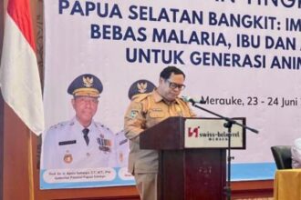 papua selatan - ilustrasi berita Pemprov Papua Selatan Perkuat Sinergi Percepat Imunisasi dan Kendalikan Malaria