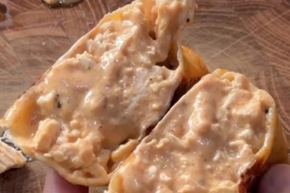 Cajun Parmesan Wrap: Menu Tinggi Protein yang Praktis untuk Sarapan dan Bekal 52 cajun parmesan wrap - ilustrasi berita Cajun Parmesan Wrap: Menu Tinggi Protein yang Praktis untuk Sarapan dan Bekal
