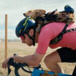 Cerita anjing ke layar lebar: Dari surfing labrador hingga penyelamatan, Top Dog Film Festival singgah… 10 cerita anjing - ilustrasi berita Cerita anjing ke layar lebar: Dari surfing labrador hingga penyelamatan, Top Dog Film…