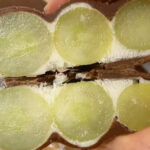 Resep Grape Yogurt Bark, Dessert Sehat, Mudah dan Menyegarkan 9 grape yogurt bark - ilustrasi berita Resep Grape Yogurt Bark, Dessert Sehat, Mudah dan Menyegarkan