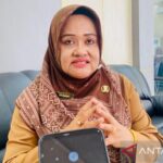 Dinkes Aceh Barat Perkuat Deteksi Dini Malaria Knowlesi 10 malaria knowlesi - ilustrasi berita Dinkes Aceh Barat Perkuat Deteksi Dini Malaria Knowlesi