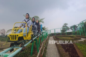 Menjelajah Keindahan Kebun Teh Ciater dengan Willys Coaster 11 willys coaster - ilustrasi berita Menjelajah Keindahan Kebun Teh Ciater dengan Willys Coaster