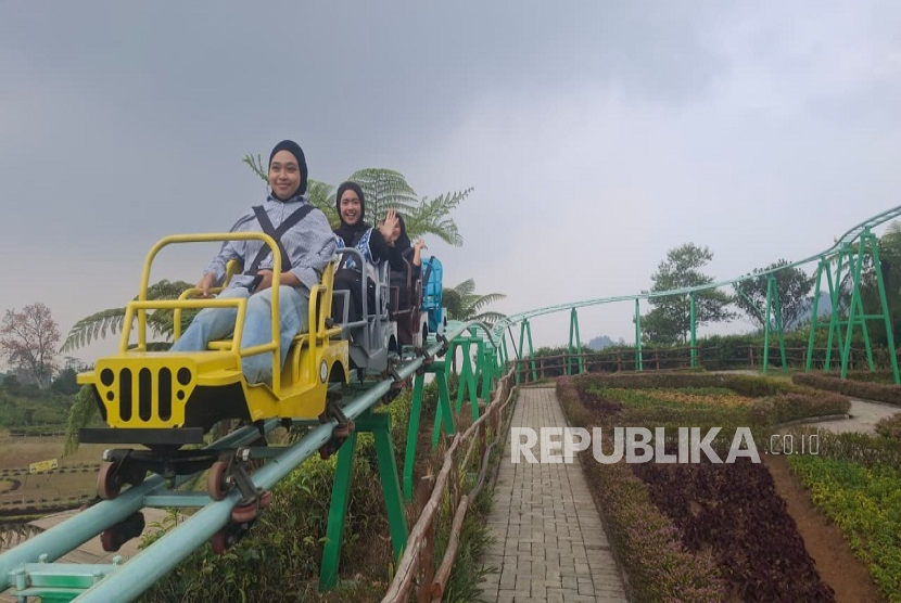 willys coaster Menjelajah Keindahan Kebun Teh Ciater dengan Willys Coaster willys coaster - ilustrasi berita Menjelajah Keindahan Kebun Teh Ciater dengan Willys Coaster